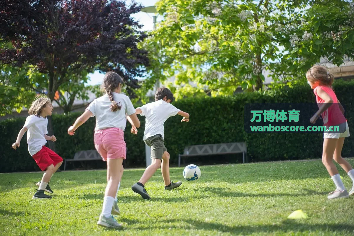 万博体育赛后公开数据查看服务